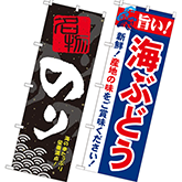 ワカメ・海苔・海ぶどう