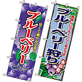 ブルーベリー