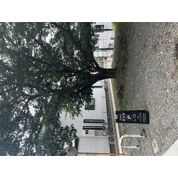 Bサインお客様製作事例写真(No.121605)