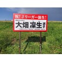 お客様使用例写真