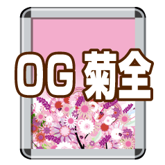 OG菊全