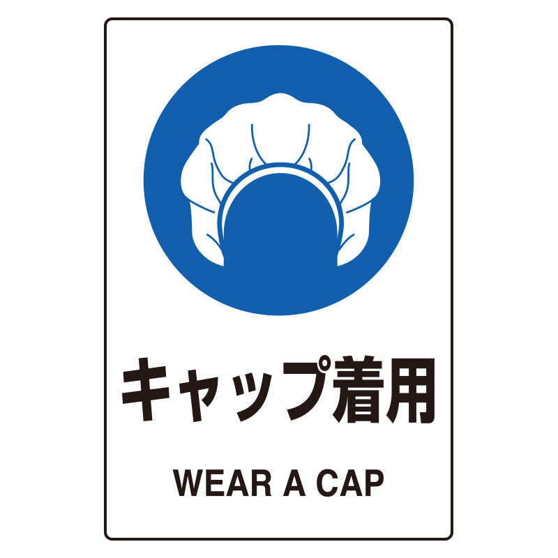 JIS規格ステッカー 5枚組 キャップ着用 (803-60A)