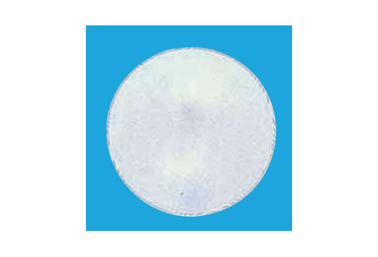 デコバルーンパール (10枚入) 9cm 白パール (SAGD6150)