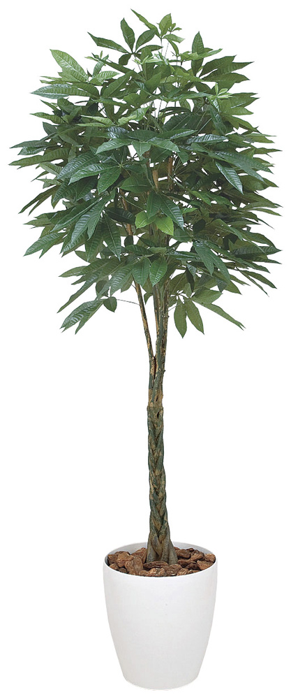 【送料無料】パキラ 2.0 (人工観葉植物) 高さ200cm 光触媒機能付 (140F700)