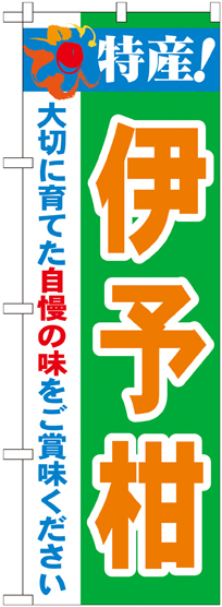 のぼり旗 特産!伊予柑 (21481)