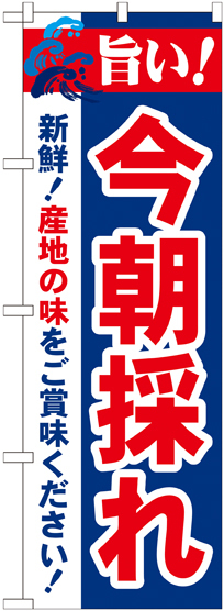 のぼり旗 旨い!今朝採れ (21689)