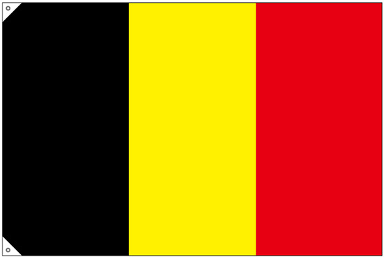 販促用国旗 ベルギー サイズ:大 (23663)