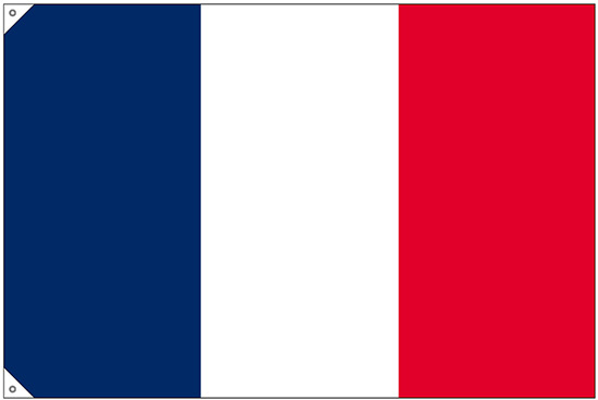 販促用国旗 フランス サイズ:大 (23675)
