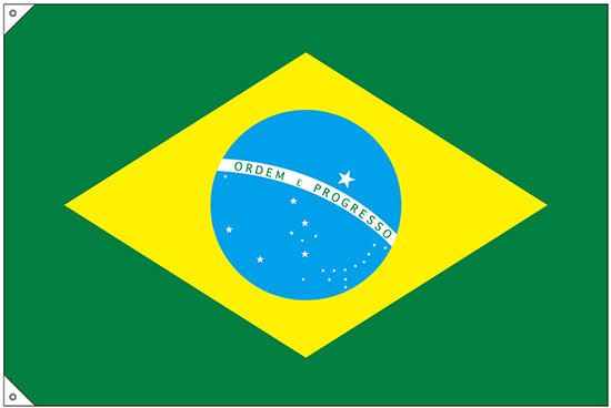 販促用国旗 ブラジル サイズ:大 (23738)