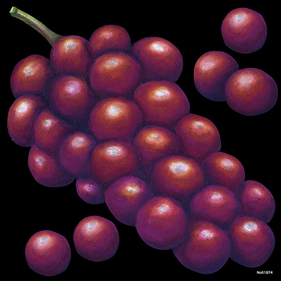 デコシール 赤葡萄 サイズ:ビッグ W600×H600 (61874)