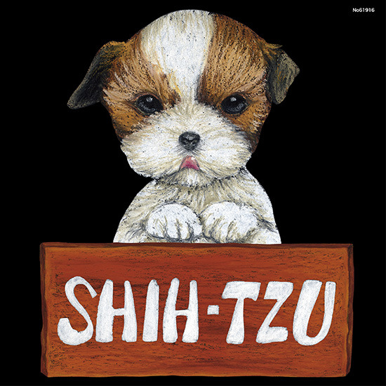デコシール 犬 シーズ サイズ:ビッグ W600×H600 (61916)