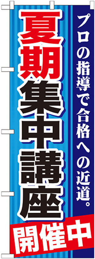 のぼり旗 夏期集中講座 開催中 (GNB-1593)