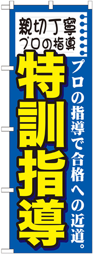 のぼり旗 特訓指導 (GNB-1594)