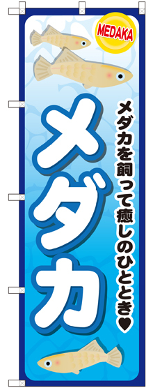 のぼり旗 メダカ メダカを飼って癒やしのひととき (GNB-2492)