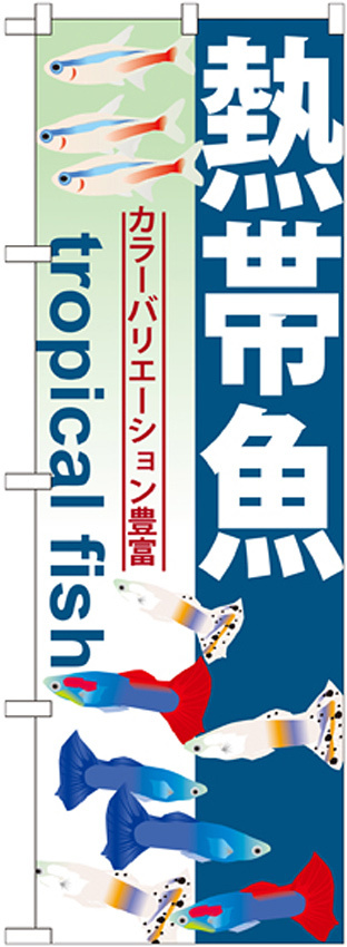 のぼり旗 熱帯魚 (GNB-568)