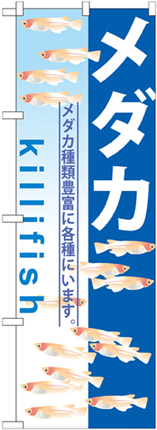 のぼり旗 メダカ killifish (GNB-571)