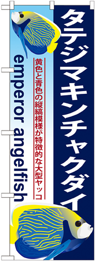 のぼり旗 タテジマキンチャクダイ (GNB-578)