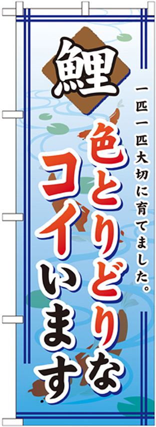 のぼり旗 鯉 色とりどりなコイいます (GNB-590)