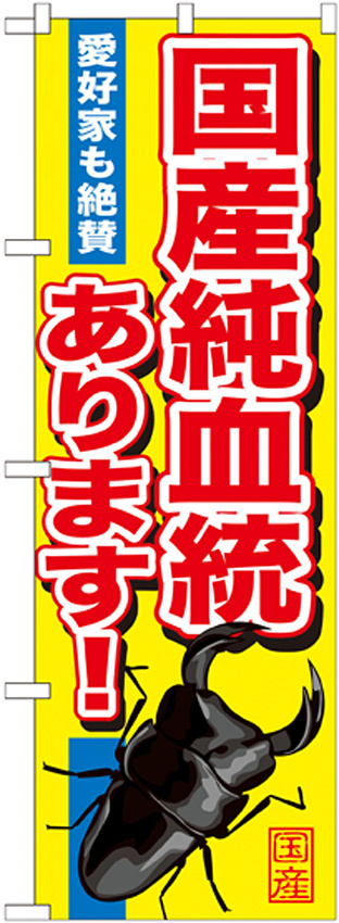 のぼり旗 国産純血統あります！ (GNB-605)