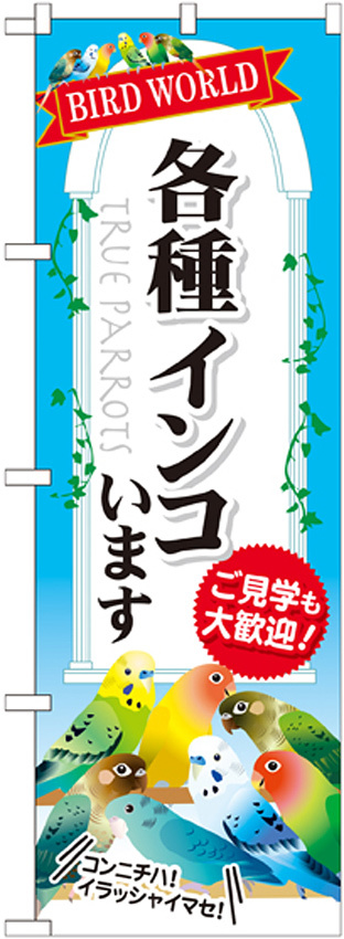 のぼり旗 各種インコいます (GNB-609)