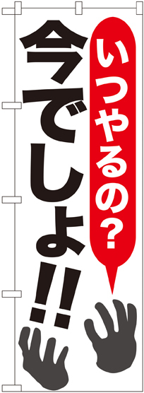 のぼり旗 いつやるの?今でしょ!! (SNB-1315)