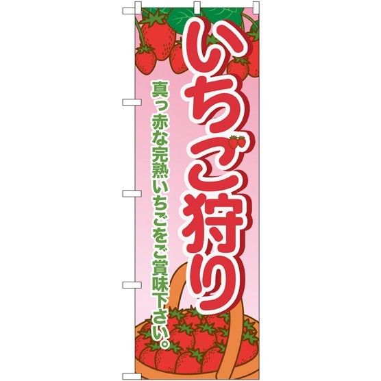 のぼり旗 いちご狩り 真っ赤な完熟いちごをご賞味下さい (SNB-1429)