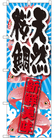 のぼり旗 天然桜鯛 新鮮美味 (SNB-2359)