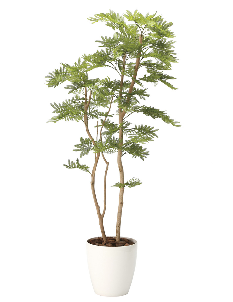 光触媒 人工観葉植物 ねむの木1.6(ポリ製) (高さ160cm)