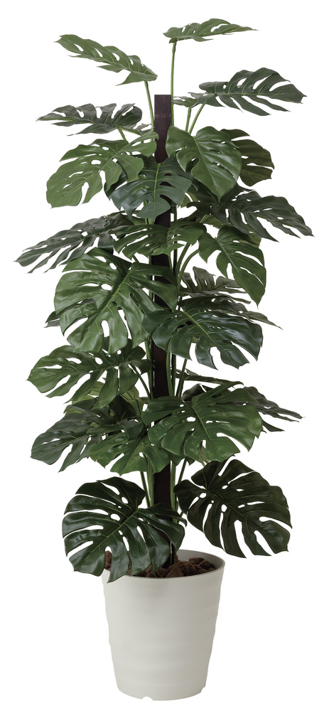 光触媒 人工観葉植物 モンステラ  1.8 (高さ180cm)