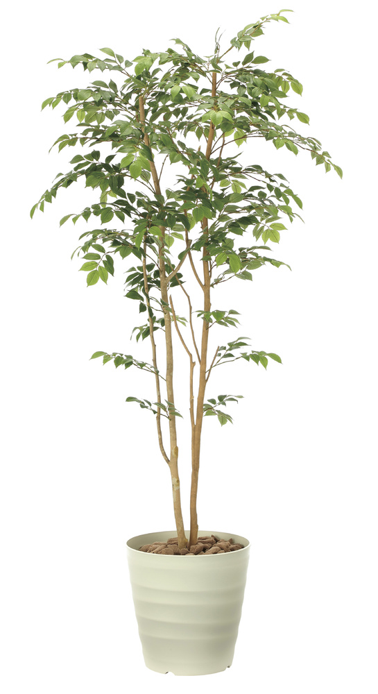 光触媒 人工観葉植物 マウンテンアッシュ1.8 (高さ180cm)