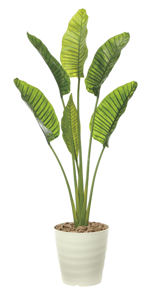送料無料 オーガスタl1 8 ポリ製 屋外用人工観葉植物 高さ180cm 光触媒ではありません 902a360 店舗用品通販のサインモール