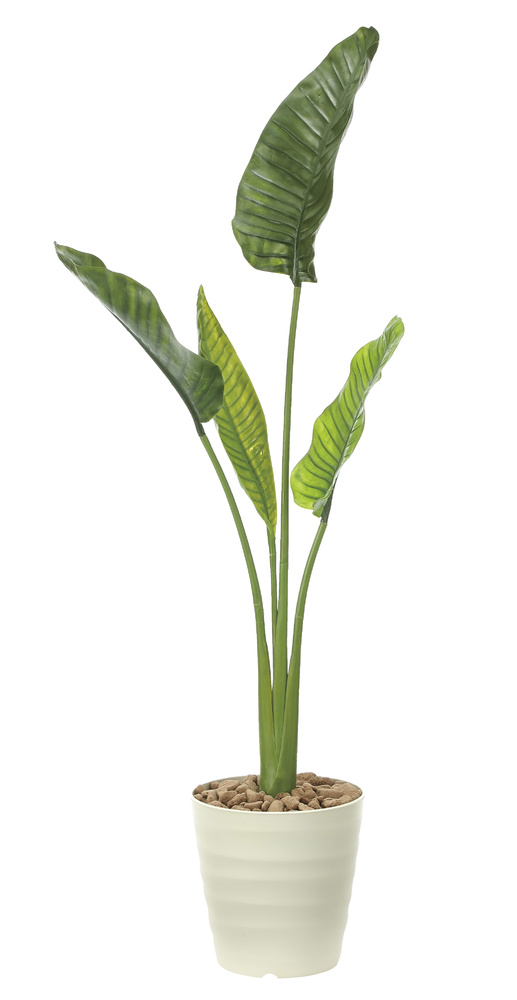 【送料無料】オーガスタM1.6(ポリ製) (屋外用人工観葉植物) 高さ160cm ※光触媒ではありません (903A250)