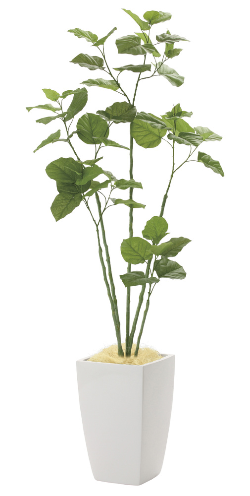 光触媒 人工観葉植物 アーバンブランチウンベラータ1.8 (高さ180cm)