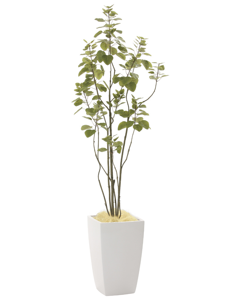 光触媒 人工観葉植物 アーバンブランチツリー1.8 (高さ180cm)
