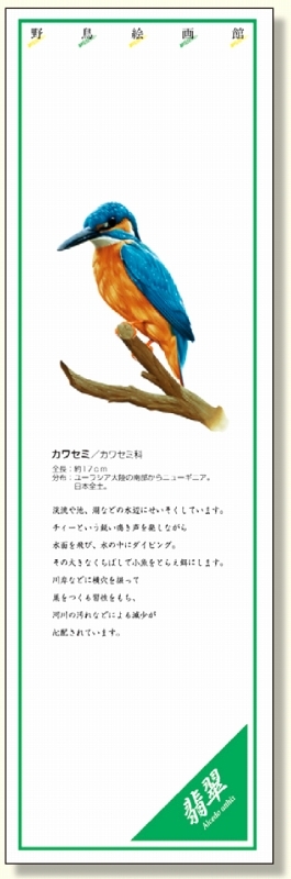 シールギャラリー 野鳥絵画館 カワセミ (916-41)