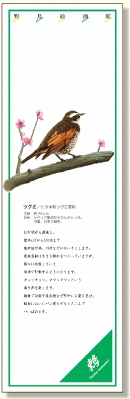 シールギャラリー 野鳥絵画館 ツグミ (916-45)