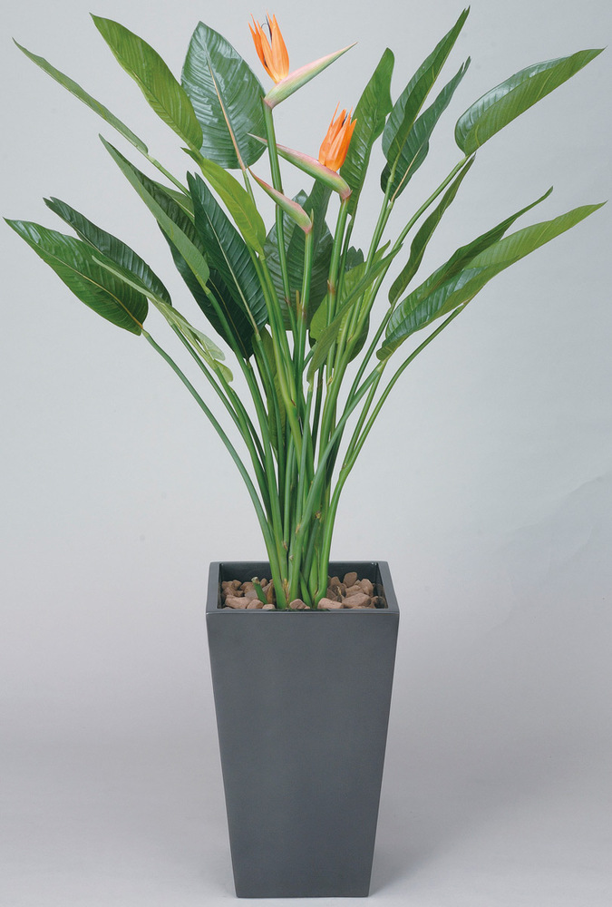 【送料無料】アートストレチア花付1.6 (人工観葉植物) 高さ160cm 光触媒機能付 (115E900)