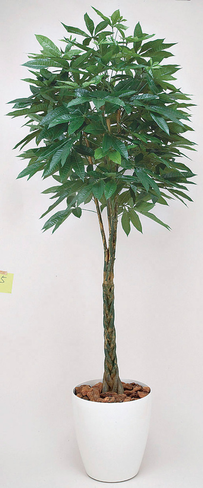 光触媒 人工観葉植物 パキラ 1.6 (高さ160cm)