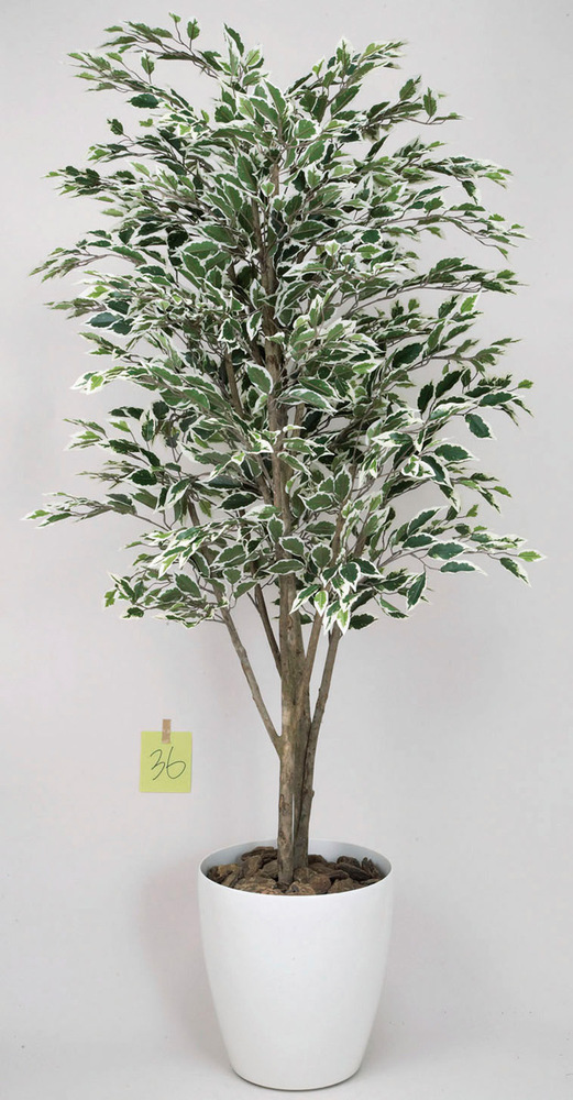 【送料無料】ベンジャミンツリー斑入り 1.8 (人工観葉植物) 高さ180cm 光触媒機能付 (154C480)