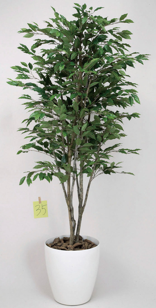 光触媒 人工観葉植物 ベンジャミンツリー 1.8 (高さ180cm)