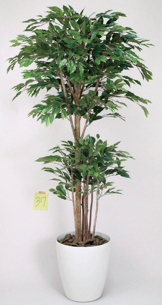 光触媒 人工観葉植物 トロピカルベンジャミン 1.6 (高さ160cm)