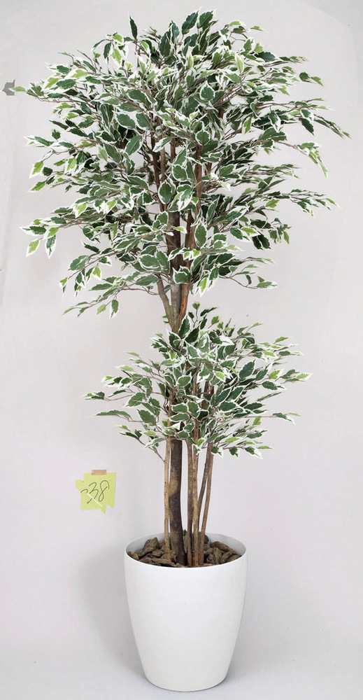 光触媒 人工観葉植物 トロピカルベンジャミン斑入り 1.6 (高さ160cm)