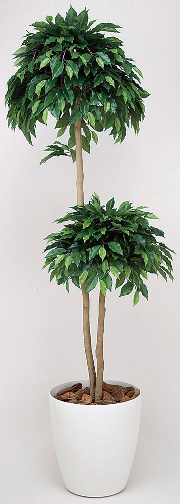 光触媒 人工観葉植物 ベンジャミンダブル 1.8 (高さ180cm)