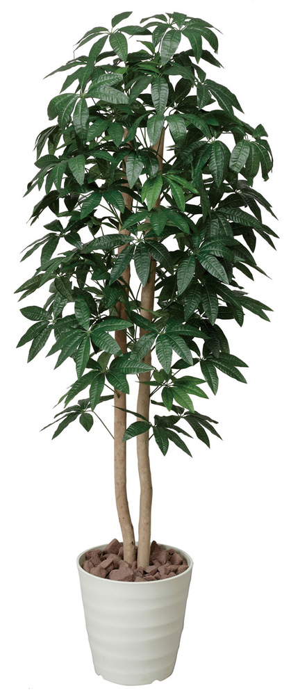 【送料無料】パキラツリー 1.6 (人工観葉植物) 高さ160cm 光触媒機能付 (170A300)