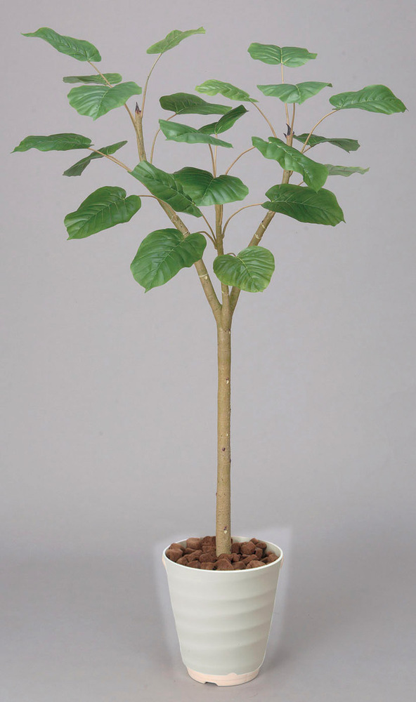光触媒 人工観葉植物 ウンベラータ 1.8 (高さ180cm)