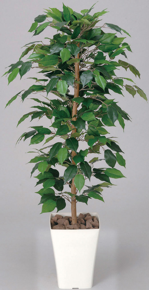 光触媒 人工観葉植物 フィカスベンジャミン 1.2 (高さ120cm) - 店舗