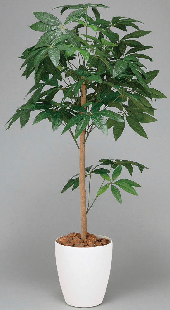 【送料無料】パキラトピアリー 1.5 (人工観葉植物) 高さ150cm 光触媒機能付 (194B250)
