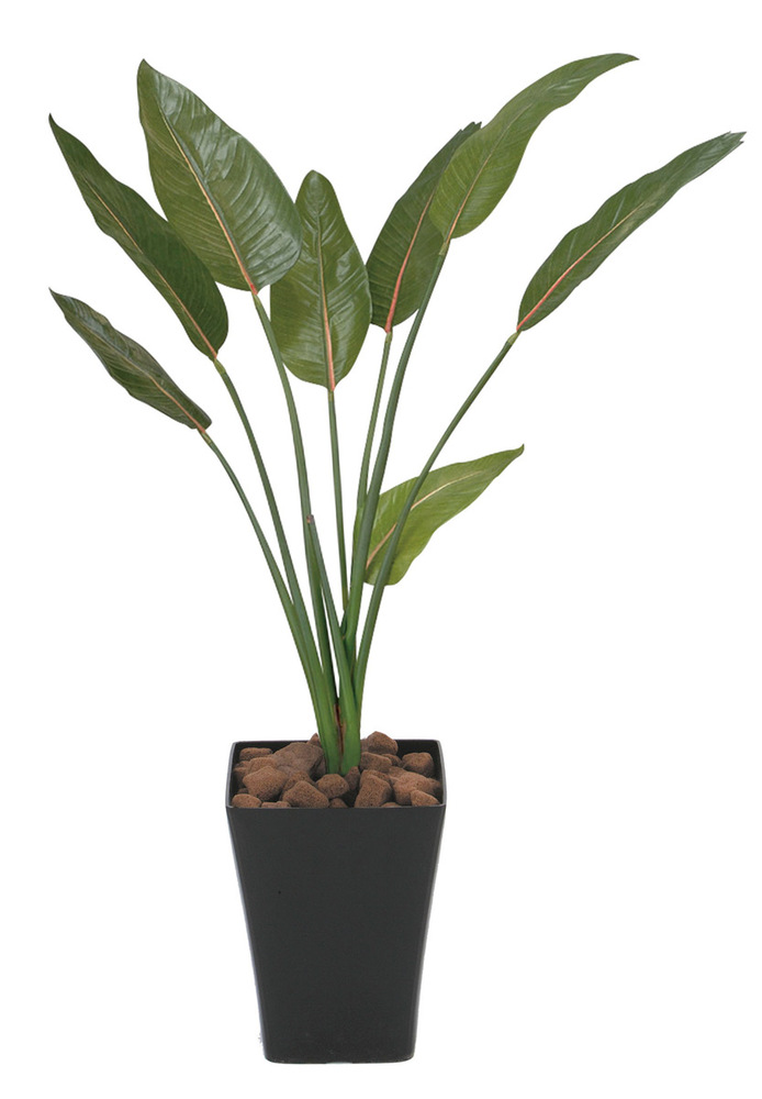 光触媒 人工観葉植物 ストレチア 1.1 (高さ110cm)