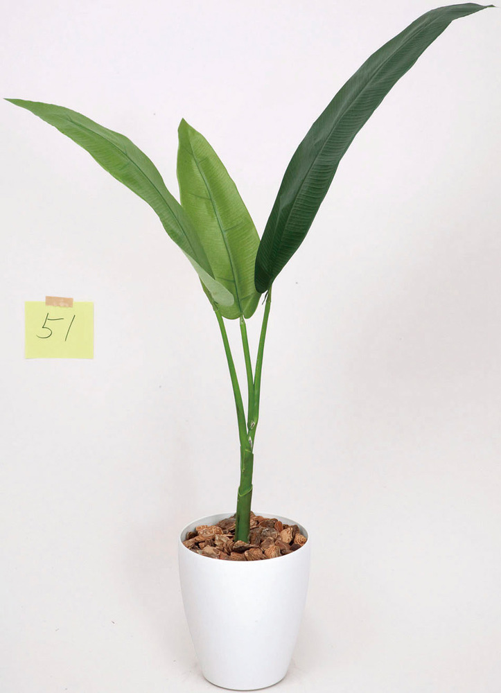 光触媒 人工観葉植物 トラベラーズパーム 1.1 (高さ110cm)