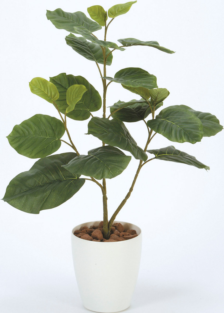 光触媒 人工観葉植物 ウンベラータ80 (高さ80cm)